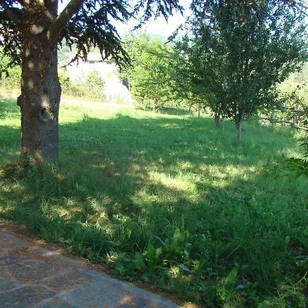 Il Funghetto *